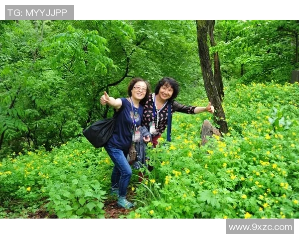 回顾传奇岁月天下足球退役专辑带你重温球场英雄的辉煌瞬间 回顾传奇岁月天下足球退役专辑带你重温球场英雄的辉煌瞬间